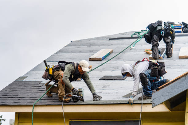 Professional Roofing technician working in Little York, IL